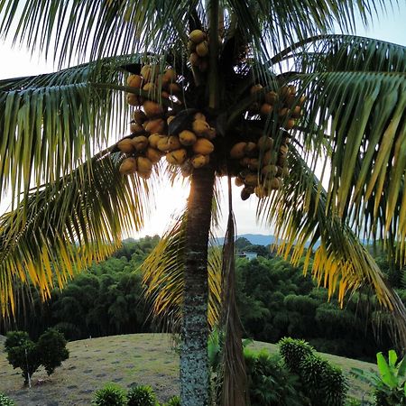Finca Hotel Los Cocos 蒙特内哥罗 外观 照片