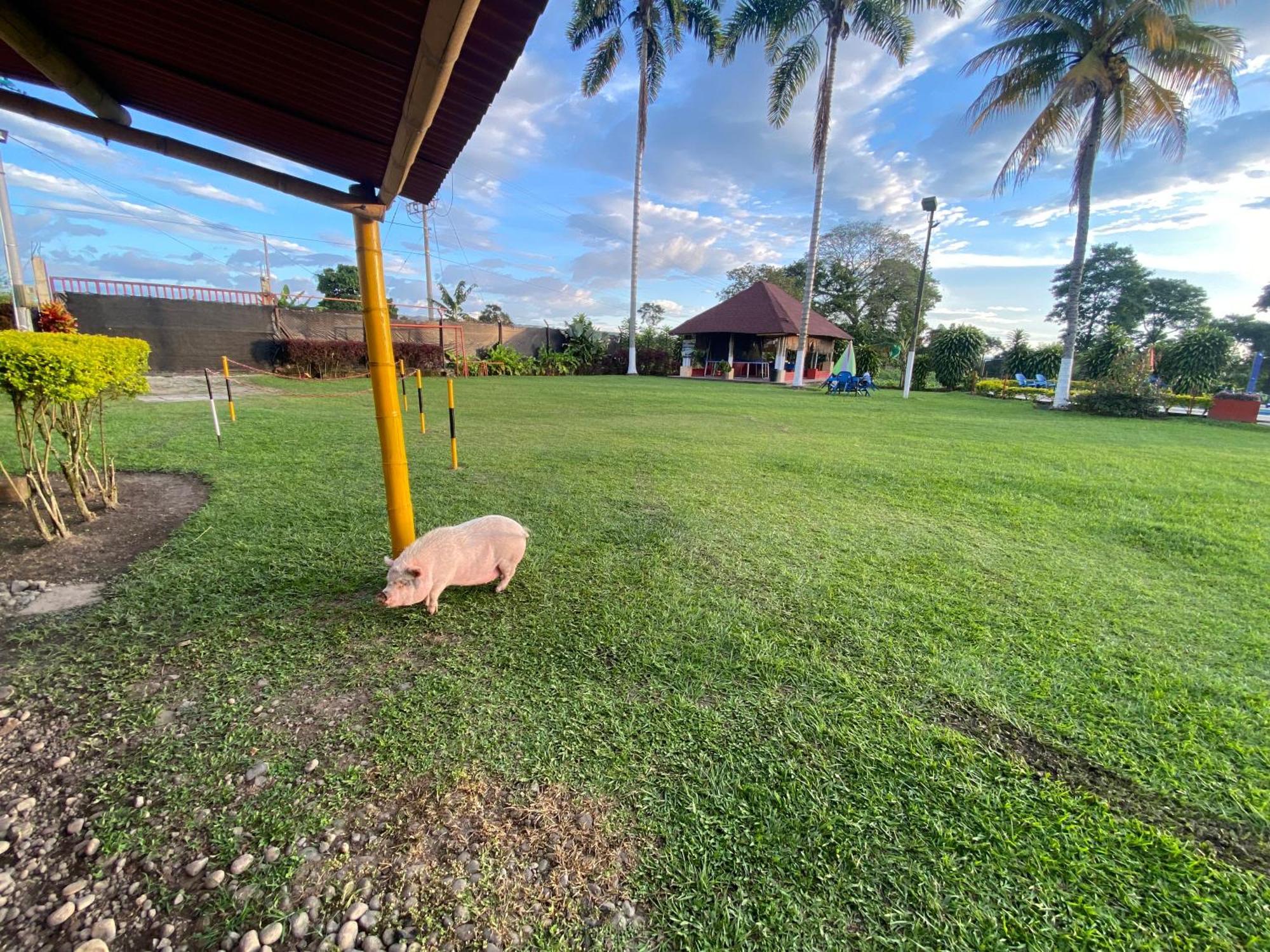 Finca Hotel Los Cocos 蒙特内哥罗 外观 照片